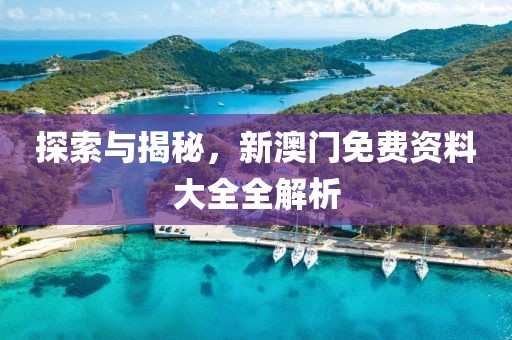 探索与揭秘，新澳门免费资料大全全解析