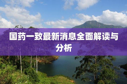 国药一致最新消息全面解读与分析