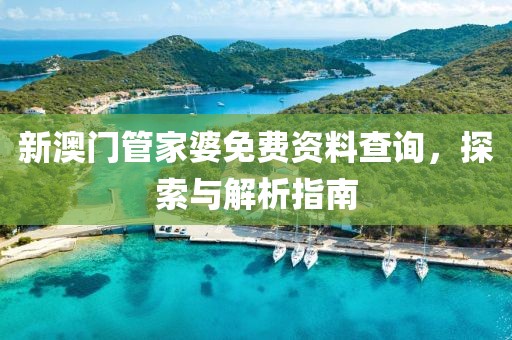新澳门管家婆免费资料查询，探索与解析指南