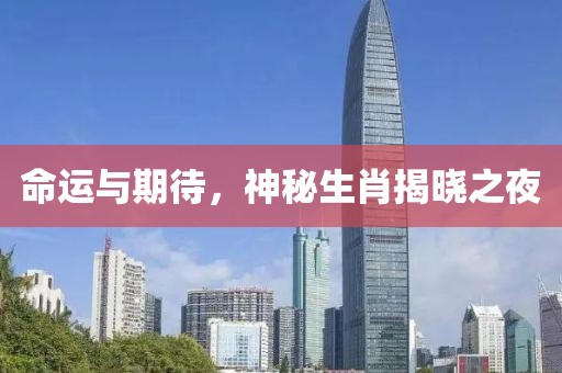 命运与期待，神秘生肖揭晓之夜