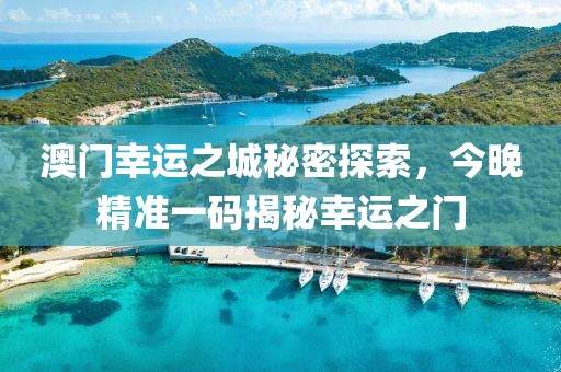 澳门幸运之城秘密探索，今晚精准一码揭秘幸运之门