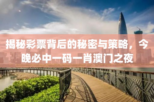 揭秘彩票背后的秘密与策略，今晚必中一码一肖澳门之夜