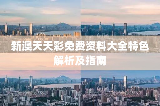 新澳天天彩免费资料大全特色解析及指南