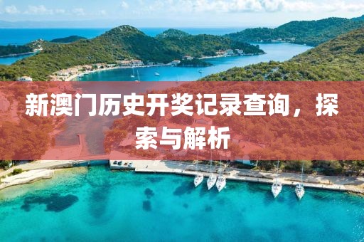 新澳门历史开奖记录查询，探索与解析