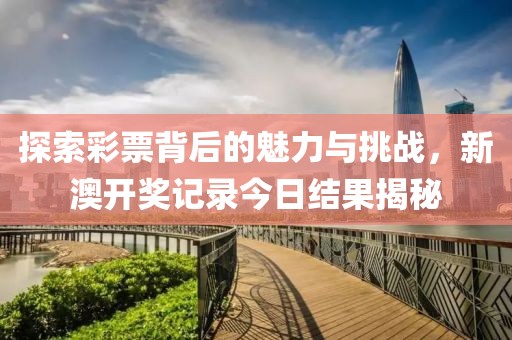 探索彩票背后的魅力与挑战，新澳开奖记录今日结果揭秘
