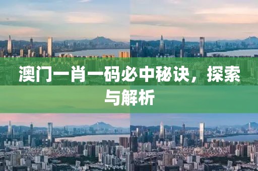 澳门一肖一码必中秘诀，探索与解析