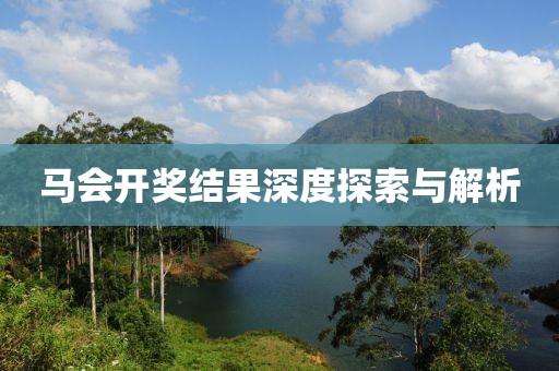 马会开奖结果深度探索与解析
