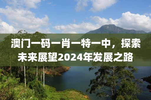 澳门一码一肖一特一中，探索未来展望2024年发展之路