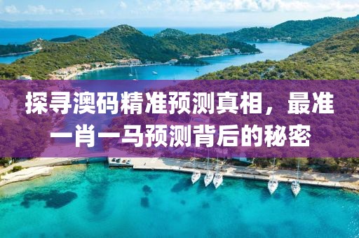 探寻澳码精准预测真相，最准一肖一马预测背后的秘密