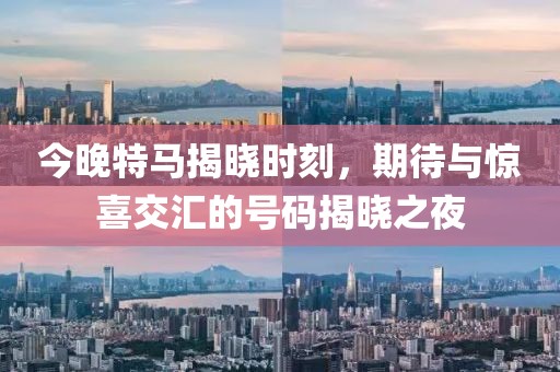 今晚特马多少号