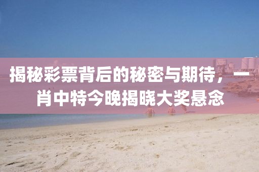 揭秘彩票背后的秘密与期待，一肖中特今晚揭晓大奖悬念