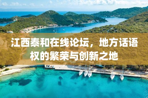 江西泰和在线论坛，地方话语权的繁荣与创新之地