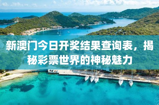 新澳门今日开奖结果查询表，揭秘彩票世界的神秘魅力