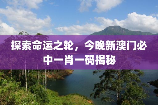 探索命运之轮，今晚新澳门必中一肖一码揭秘
