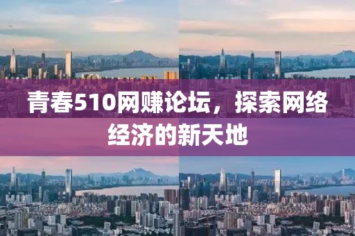 青春510网赚论坛，探索网络经济的新天地