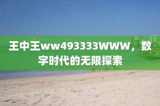 王中王ww493333WWW，数字时代的无限探索
