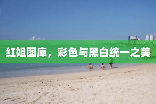 红姐图库，彩色与黑白统一之美