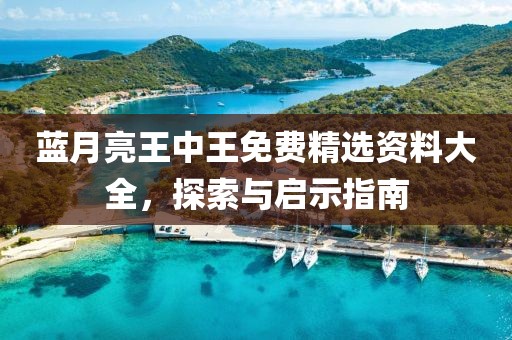 蓝月亮王中王免费精选资料大全，探索与启示指南