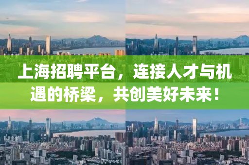 上海招聘平台，连接人才与机遇的桥梁，共创美好未来！