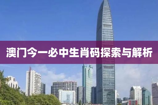 澳门今一必中生肖码探索与解析