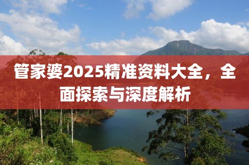 管家婆2025精准资料大全，全面探索与深度解析