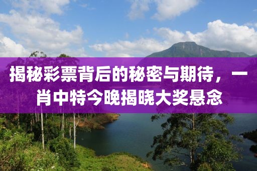 揭秘彩票背后的秘密与期待，一肖中特今晚揭晓大奖悬念