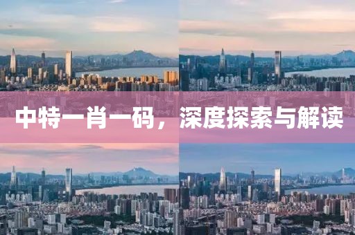 中特一肖一码，深度探索与解读