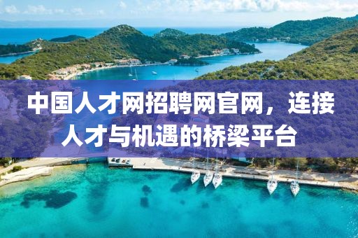 中国人才网招聘网官网，连接人才与机遇的桥梁平台