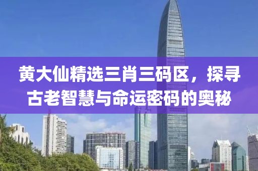 黄大仙精选三肖三码区