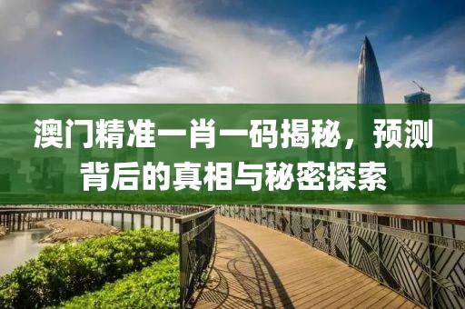 澳门精准一肖一码揭秘，预测背后的真相与秘密探索
