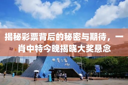 揭秘彩票背后的秘密与期待，一肖中特今晚揭晓大奖悬念