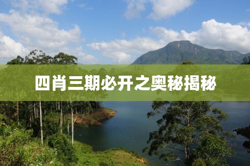 四肖三期必开之奥秘揭秘
