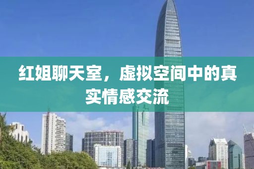 红姐聊天室，虚拟空间中的真实情感交流
