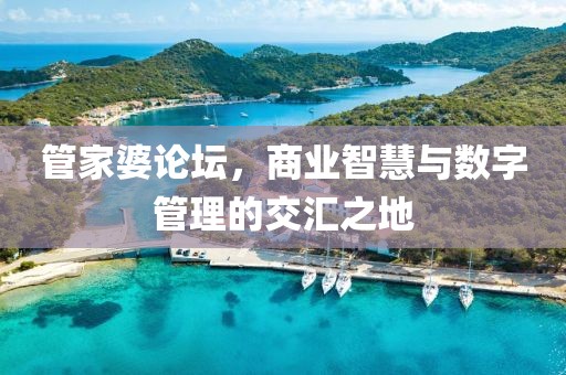 管家婆论坛，商业智慧与数字管理的交汇之地