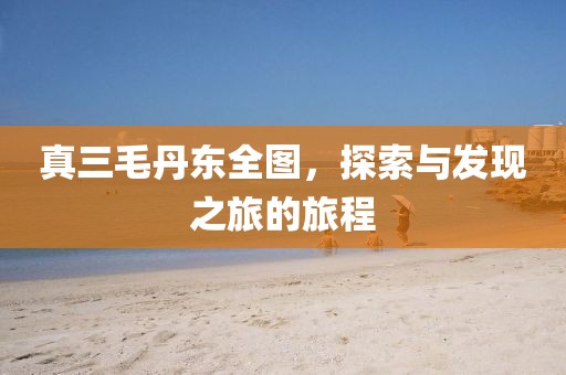 真三毛丹东全图，探索与发现之旅的旅程