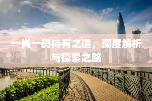 一肖一码持有之道，深度解析与探索之路