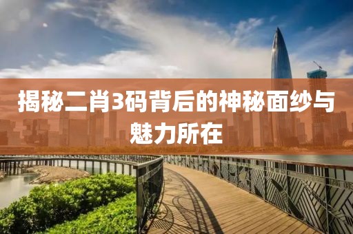 揭秘二肖3码背后的神秘面纱与魅力所在