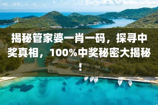 揭秘管家婆一肖一码，探寻中奖真相，100%中奖秘密大揭秘！