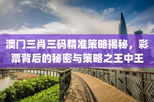 澳门三肖三码精准策略揭秘，彩票背后的秘密与策略之王中王