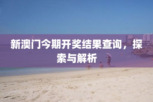 新澳门今期开奖结果查询，探索与解析