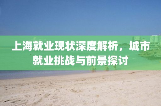 上海就业现状深度解析，城市就业挑战与前景探讨