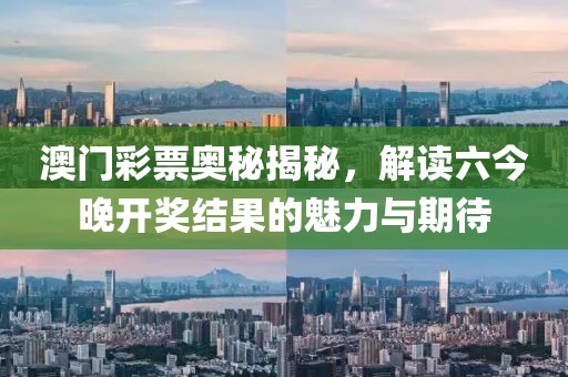 2023澳门六今晚开奖结果出来85期
