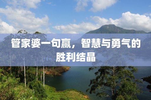 管家婆一句赢，智慧与勇气的胜利结晶