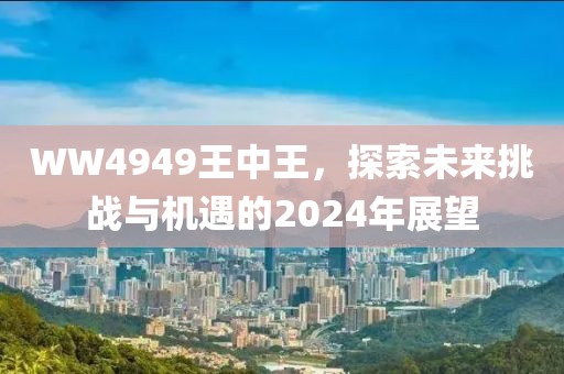 WW4949王中王，探索未来挑战与机遇的2024年展望