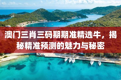 澳门三肖三码期期准精选牛，揭秘精准预测的魅力与秘密