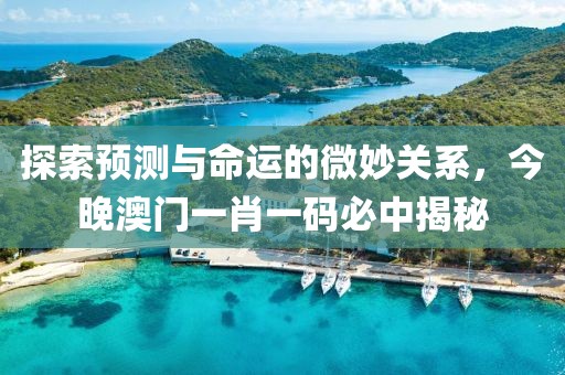 探索预测与命运的微妙关系，今晚澳门一肖一码必中揭秘