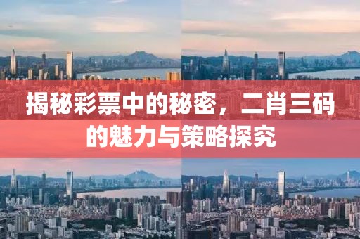 揭秘彩票中的秘密，二肖三码的魅力与策略探究