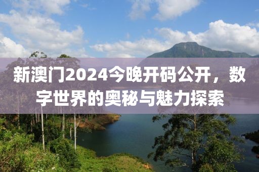 新澳门2024今晚开码公开，数字世界的奥秘与魅力探索