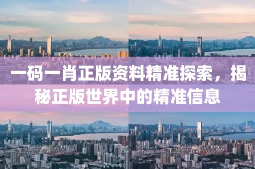 一码一肖正版资料精准探索，揭秘正版世界中的精准信息