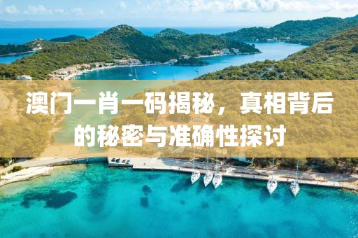 澳门一肖一码揭秘，真相背后的秘密与准确性探讨